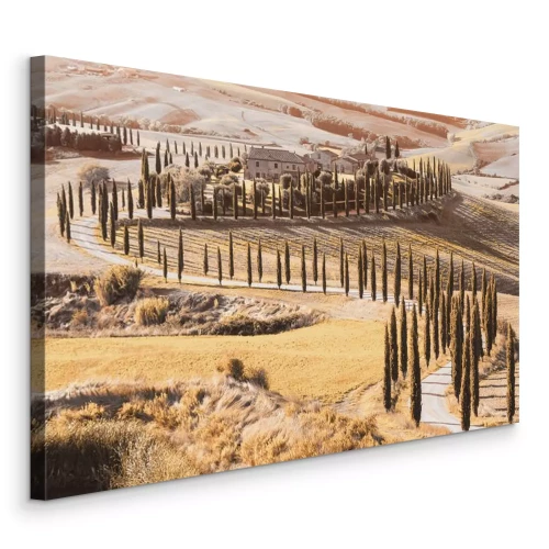 Bild Die grünen Hügel der Toskana, bedeckt mit üppiger Vegetation