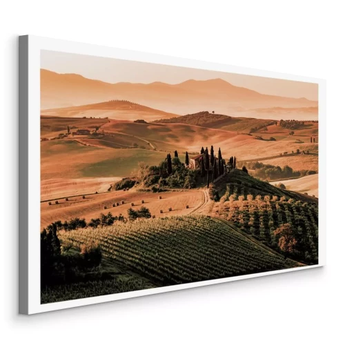 Bild Toskanische Felder im goldenen Sonnenuntergang