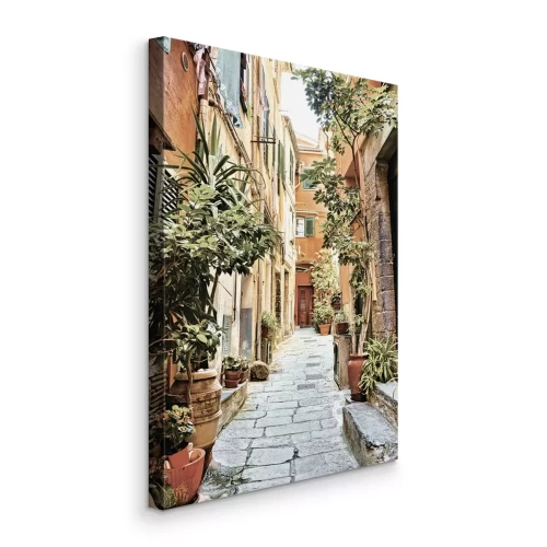 Bild Eine Straße mit Mietshäusern und üppiger Vegetation