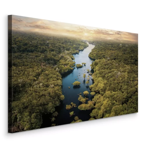 Bild Ein breiter Flusslauf in einem tropischen Wald