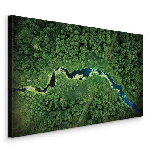 Bild Ein Waldtal mit einem gewundenen Fluss