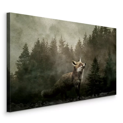 Bild Ein Fuchs zwischen den Nadelbäumen