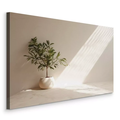 Bild Ein grüner Olivenbaum in einem beigen Topf