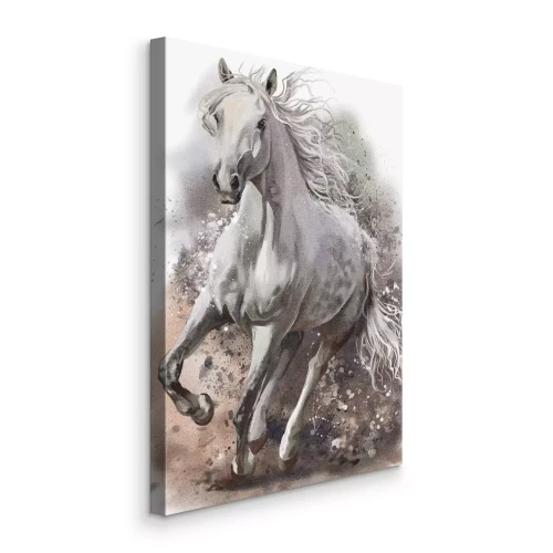 Bild Aquarellgemälde eines galoppierenden weißen Pferdes in Bewegung