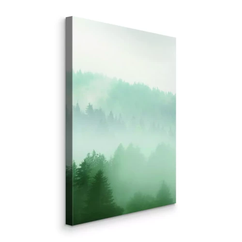 Bild Ein nebliger, dichter Wald voller Nadelbäume