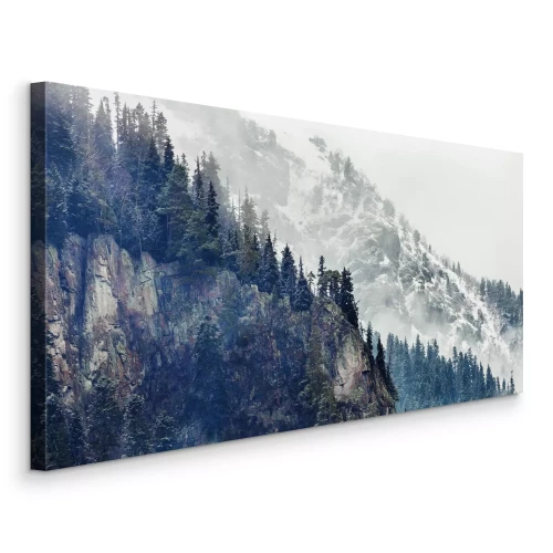 Bild Berglandschaft mit grünen Nadelbäumen