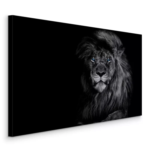 Bild Schwarz-Weiß-Porträt eines majestätischen Löwen