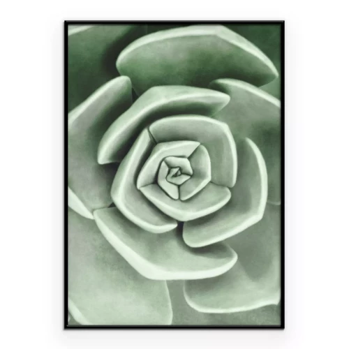 Poster Grüne Blume in einer Makro-Spiralaufnahme