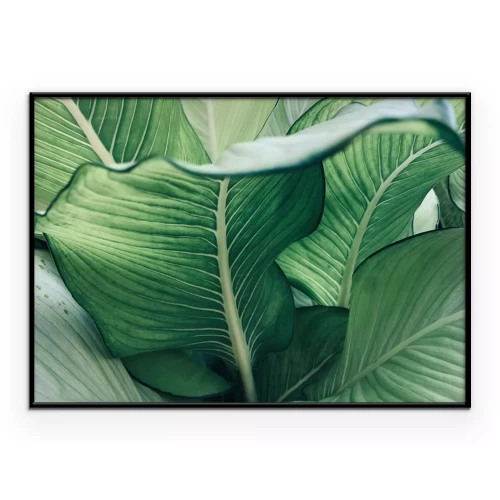 Poster Ein Pflanzenhintergrund mit gewellten Blättern