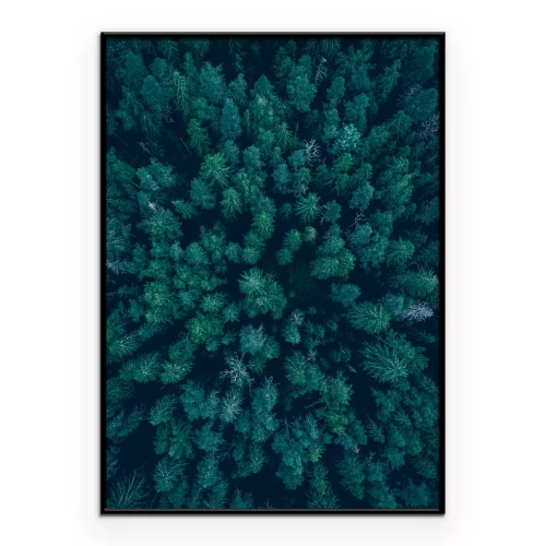 Poster Grüne Baumkronen von oben gesehen