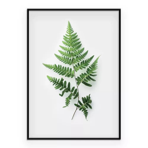 Poster Minimalistische botanische Illustration eines Farns