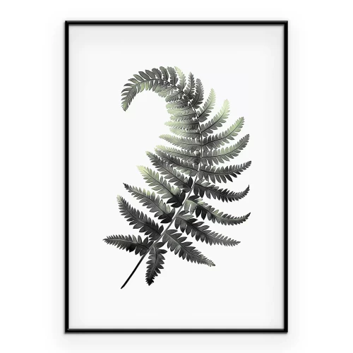 Poster Botanische Zeichnung eines Farnblatts
