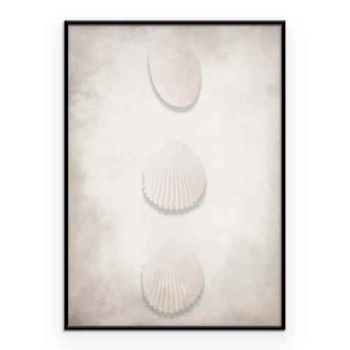 Poster Minimalistische Muschelkomposition