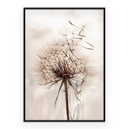 Poster Ein zarter Löwenzahn im Wind