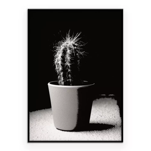 Poster Kaktus im Rampenlicht