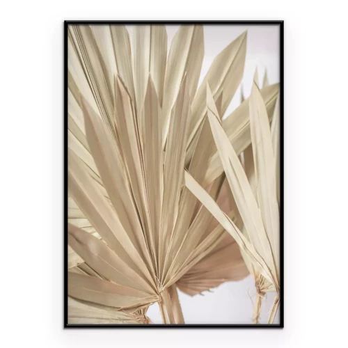 Poster Eine minimalistische Komposition aus trockenen Blättern