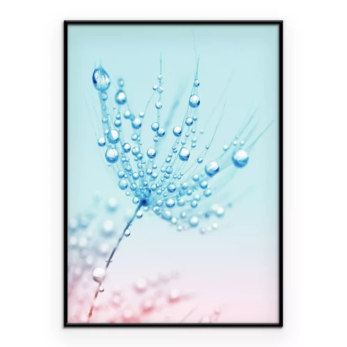 Poster Ein Morgentropfen auf einem zarten Löwenzahn