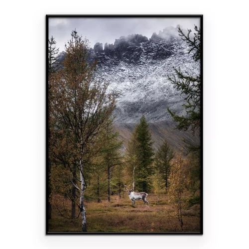 Poster Ein Waldweg zwischen Bergen und Schnee
