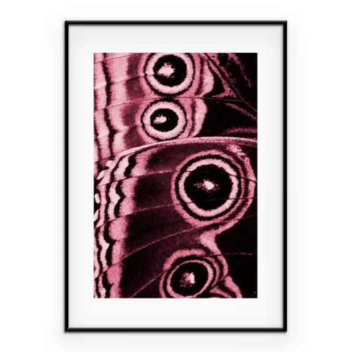 Poster Schmetterlingsflügeldetails in Rosa