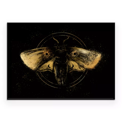 Poster Ein goldener Falter in dunkler Komposition