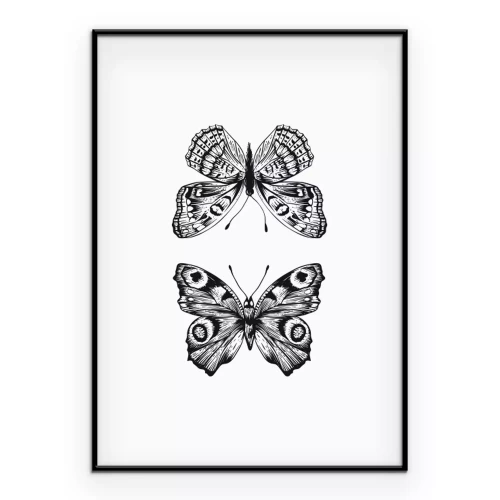 Poster Ein Schmetterlingspaar in einer Schwarz-Weiß-Illustration