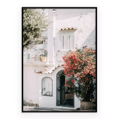 Poster Ein weißes Haus mit einem blühenden Strauch