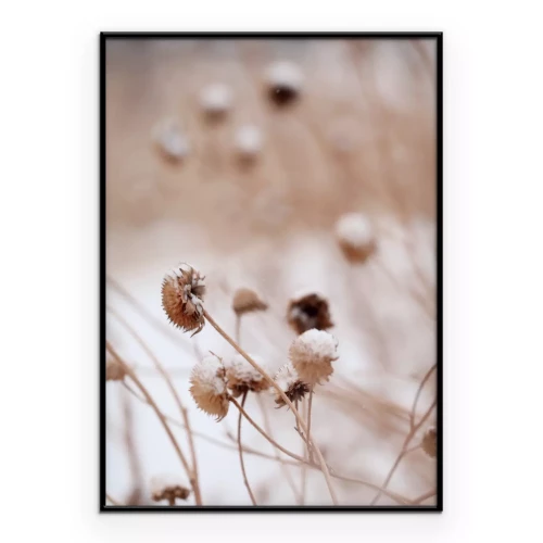 Poster Zarte Wildblumen in einer Winterlandschaft