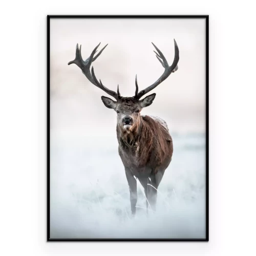 Poster Wildhirsche mit ausgebreiteten Geweihen im Nebel