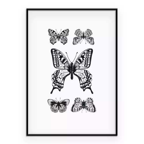 Poster Eine Komposition mit fünf Schmetterlingen in Schwarzweiß