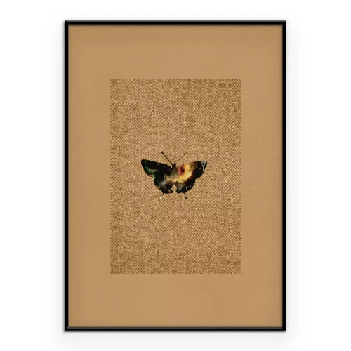 Poster Dunkler Schmetterling auf strukturiertem Hintergrund