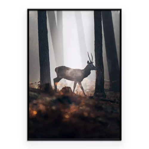 Poster Hirsch im nebligen Wald bei Morgendämmerung Landschaft