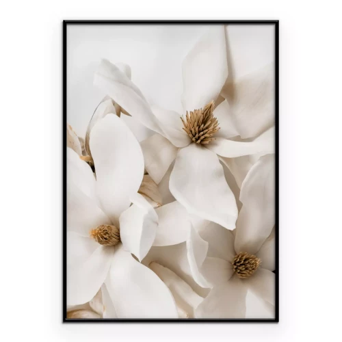 Poster Weiße Magnolienblüten im Glamour-Stil
