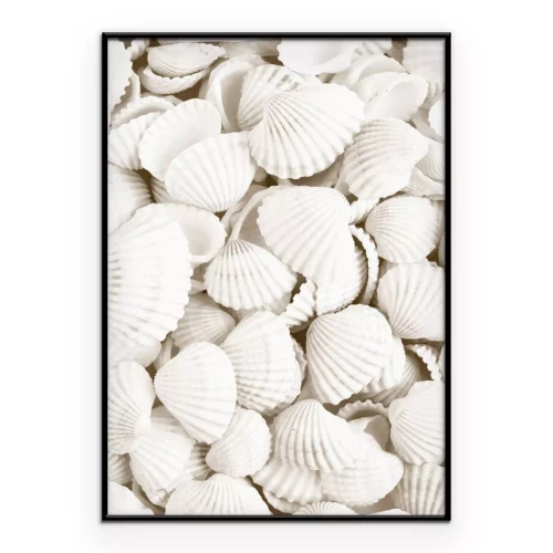 Poster Weiße Muscheln Foto im Boho-Stil