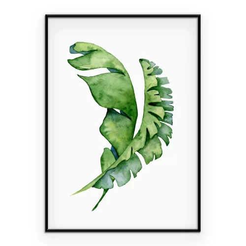 Poster Aquarellblätter auf weißem Hintergrund