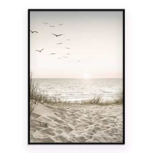 Poster Mohnfeld bei Sonnenaufgang Sommerlandschaft