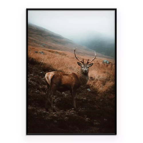 Poster Hirsch auf einer Lichtung Herbstlandschaft