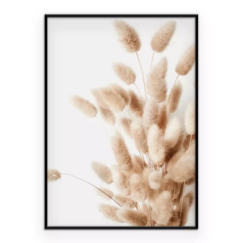 Poster Boho-Stil Gras Hasenschwanzgras