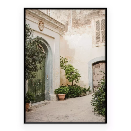 Poster Olivenbaum und historische Architektur