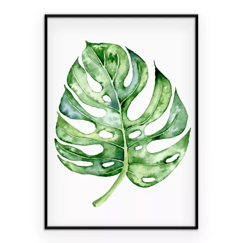 Poster Aquarell-Monstera-Blatt auf weißem Hintergrund