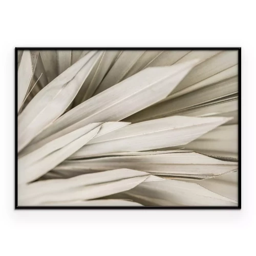 Poster Boho-Stil getrocknete Palmblätter zartes Naturmuster