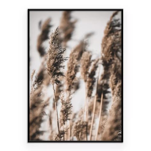 Poster Zarte Gräser im Wind Boho-Stil Motiv