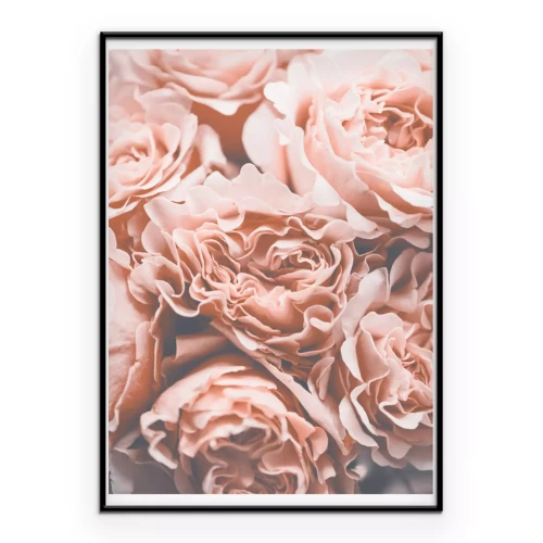 Poster Rosa Rosen Blumen im Vintage-Stil