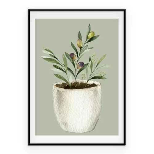 Poster Olivenbaum im Topf Illustration