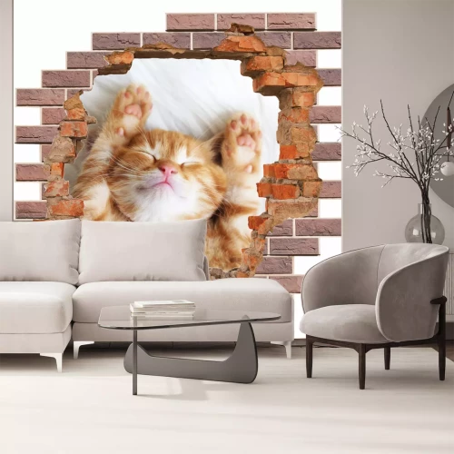 Sticker 3D-Loch in der Backsteinmauer und ein schlafendes Kätzchen