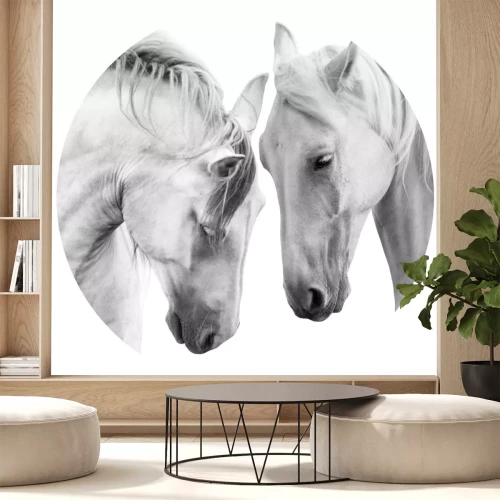 Sticker Schwarz-Weiß-Porträt eines Pferdepaares