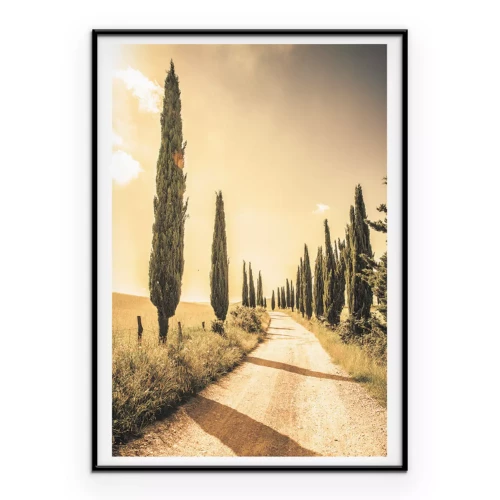 Poster Zypressenallee in der Toskana