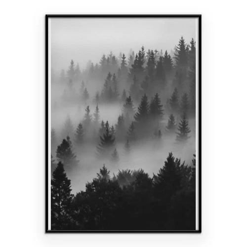 Poster Schwarzer und weißer Wald im Nebel