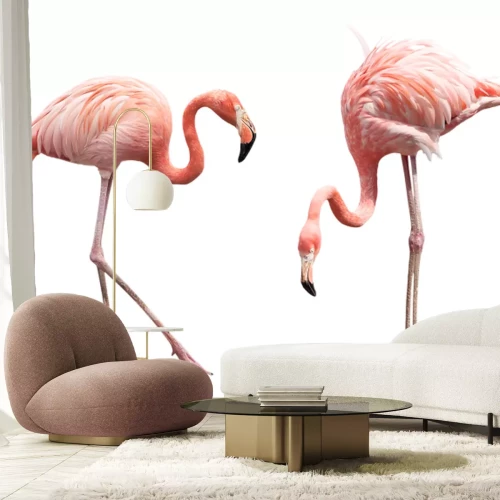 Fototapete Porträt von hellrosa Vögeln