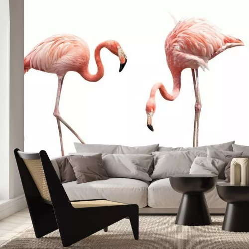 Sticker Zwei Flamingo