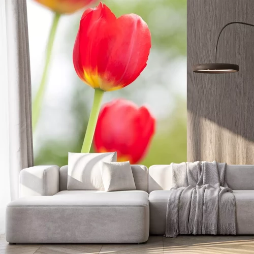 Sticker Einzelne Blumen auf einem verwischten Hintergrund